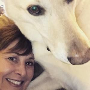 Meet your Posher, Terry